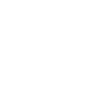 nextjs skill